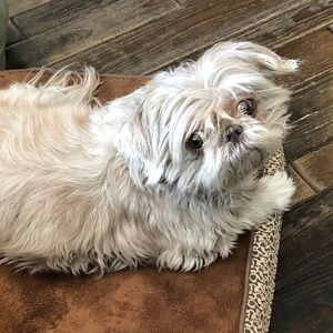 Meet your Posher, Jane